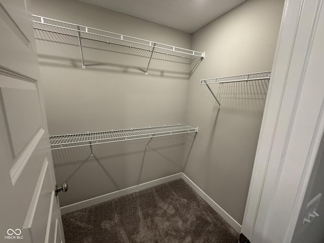 spacious closet featuring dark colored carpet