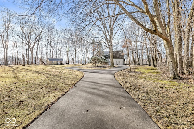 view of road with aphalt driveway