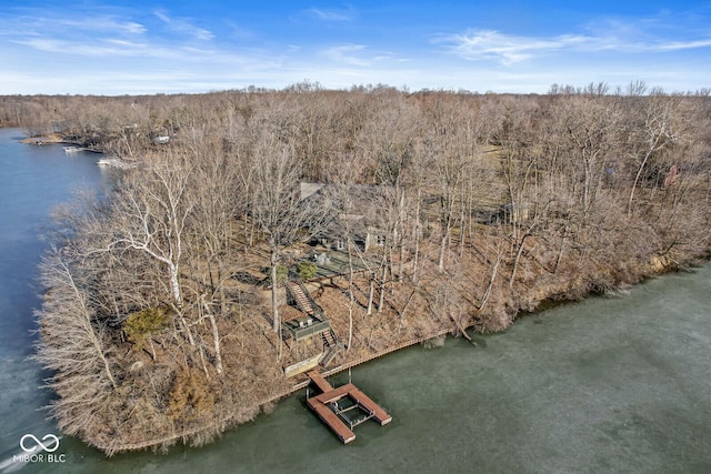 drone / aerial view with a water view and a view of trees