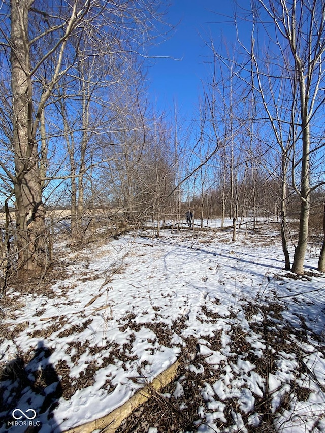 view of snowy yard