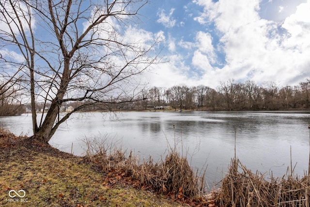 property view of water