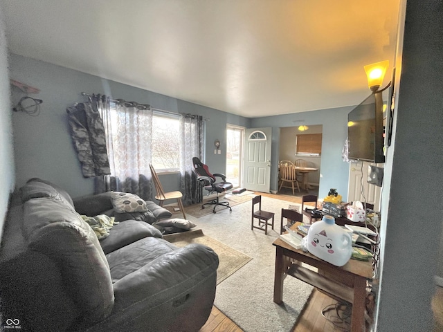 living room featuring light wood finished floors