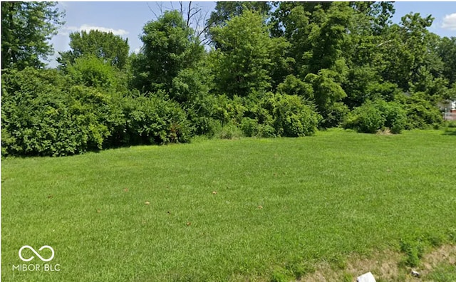 3802 E Minnesota St, Indianapolis IN, 46203 land for sale