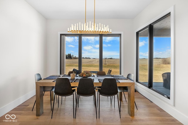 dining room with baseboards, a healthy amount of sunlight, and light wood-type flooring