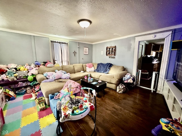 living room featuring a textured ceiling and wood finished floors