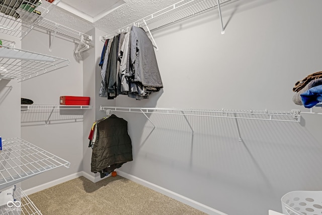 walk in closet with carpet