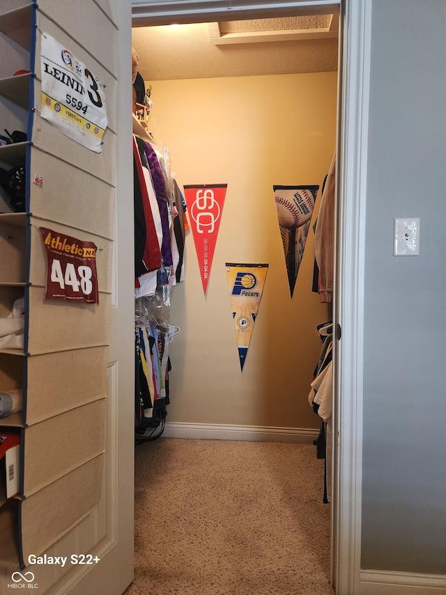 view of walk in closet