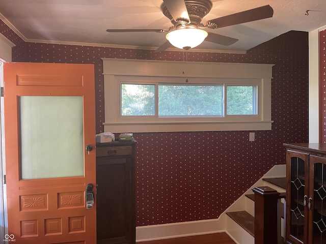 5533 Wilson Way, Jamestown, IN 46147 - foyer featuring a ceiling fan, healthy amount of natural light, wallpapered walls, and ornamental molding