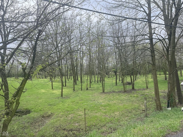 5533 Wilson Way, Jamestown, IN 46147 - view of undeveloped land