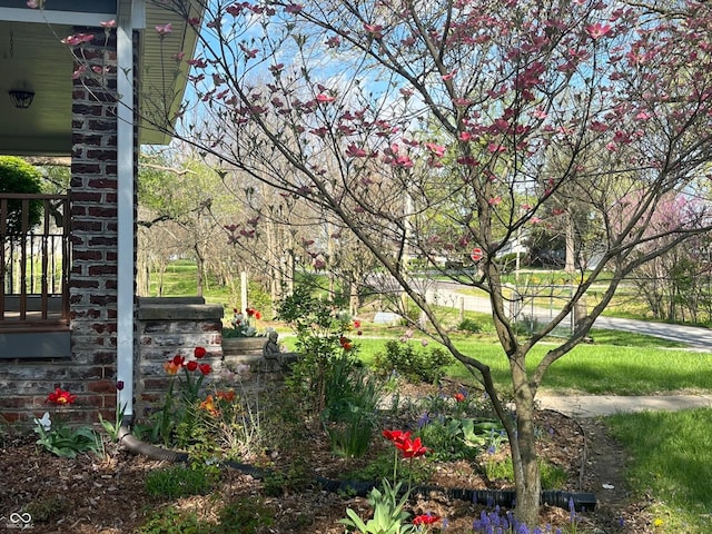 5533 Wilson Way, Jamestown, IN 46147 - view of yard