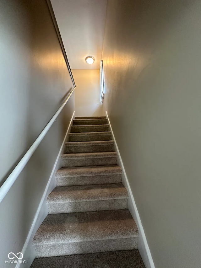 stairway featuring baseboards and carpet flooring