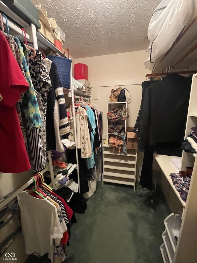 walk in closet with carpet flooring