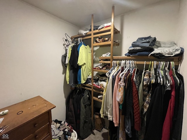 view of spacious closet