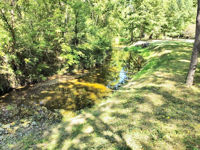 view of local wilderness featuring a forest view