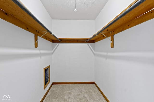 spacious closet with carpet floors