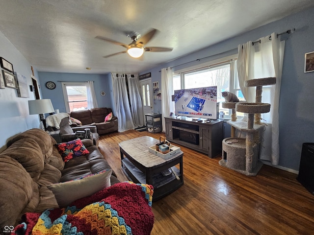 living room with ceiling fan, a textured ceiling, and wood finished floors