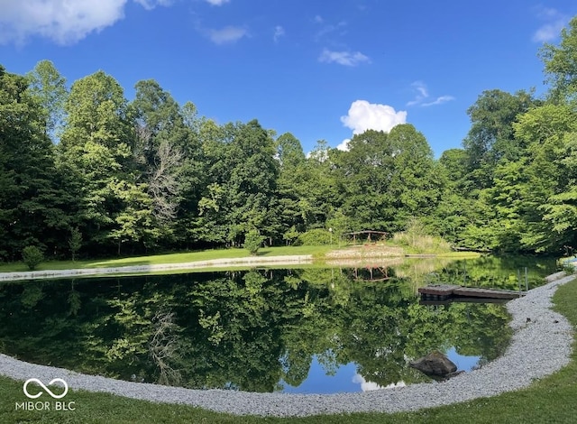 view of water feature