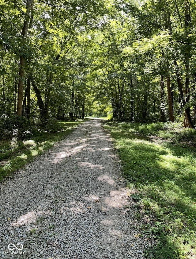 view of road featuring a view of trees