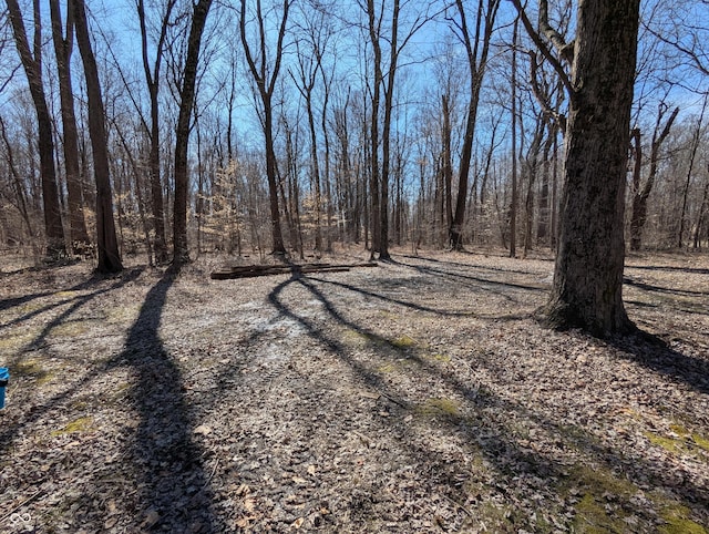 view of road with a view of trees