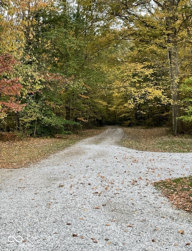 view of street with a view of trees