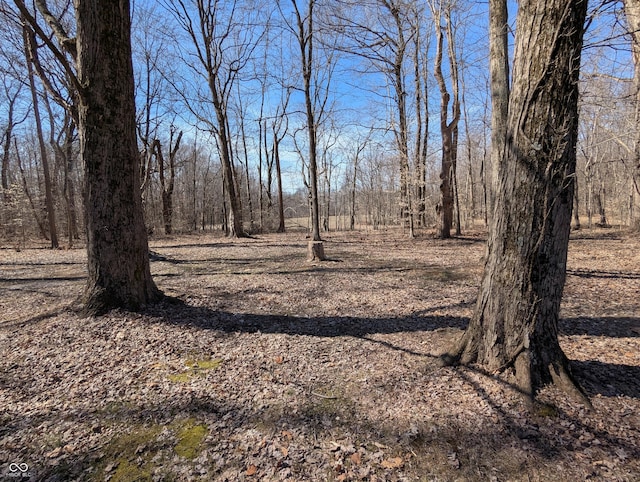 view of local wilderness