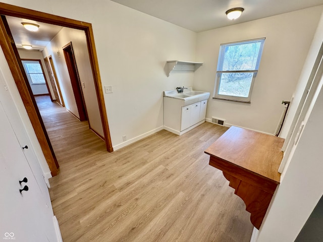 clothes washing area with light wood finished floors, plenty of natural light, a sink, and visible vents