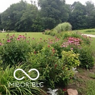 view of yard with a wooded view