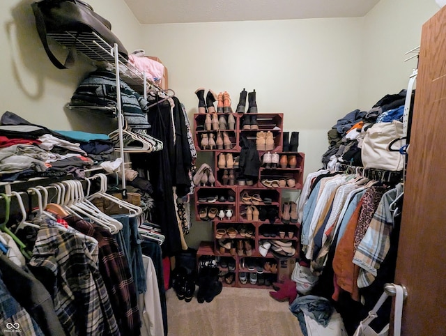 walk in closet with carpet floors