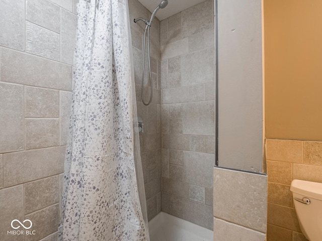 bathroom with a stall shower and toilet