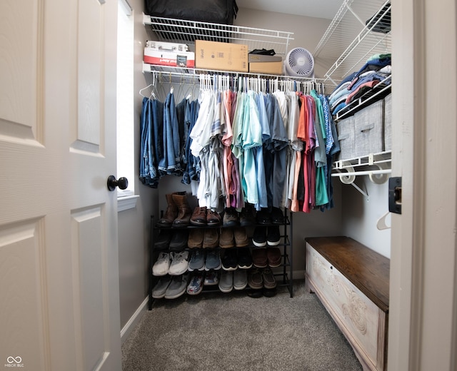 walk in closet featuring carpet flooring