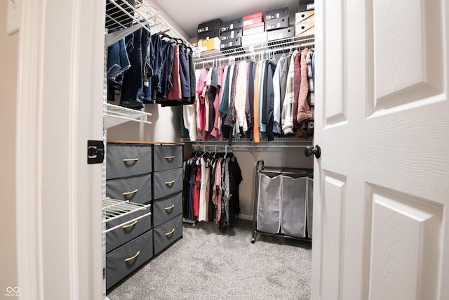 walk in closet with carpet