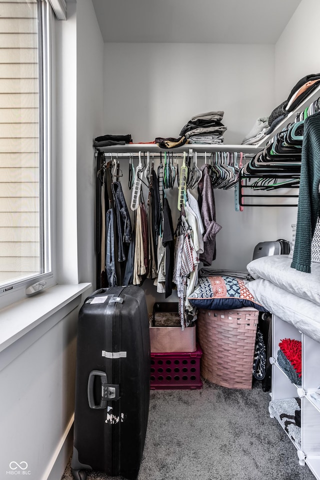 walk in closet with carpet