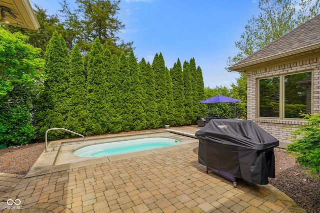 286 S Woodridge Dr, Pittsboro, IN 46167 - view of swimming pool with a grill and a patio