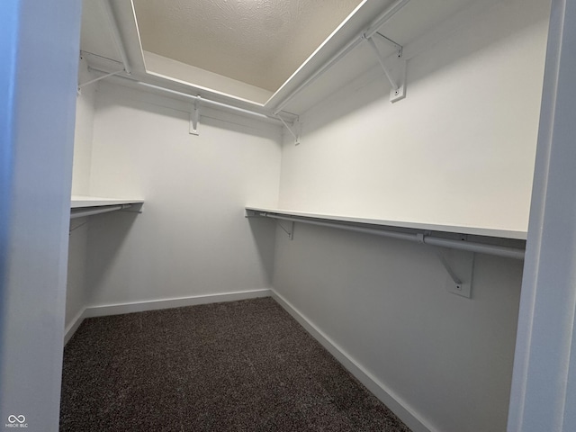 walk in closet featuring carpet flooring