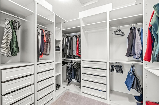 view of spacious closet