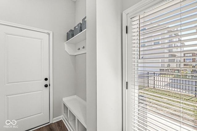 mudroom with dark wood-style flooring