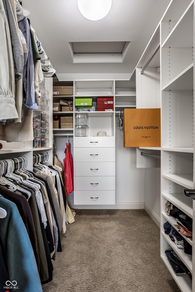 walk in closet with carpet floors and attic access