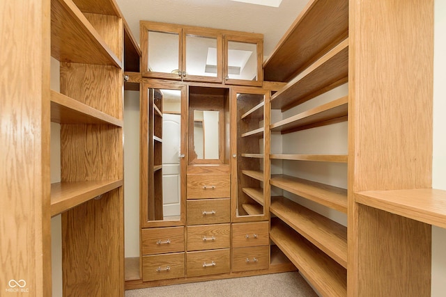 walk in closet with carpet floors