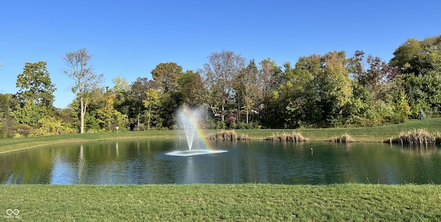 804 Whispering Oaks Dr, Carmel, IN 46032 - water view