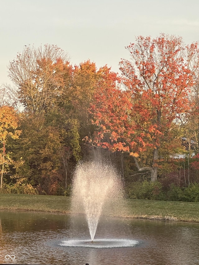 804 Whispering Oaks Dr, Carmel, IN 46032 - water view