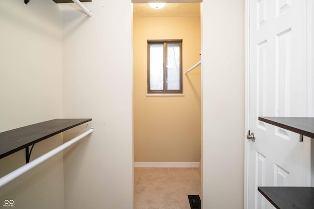 walk in closet with visible vents and carpet flooring