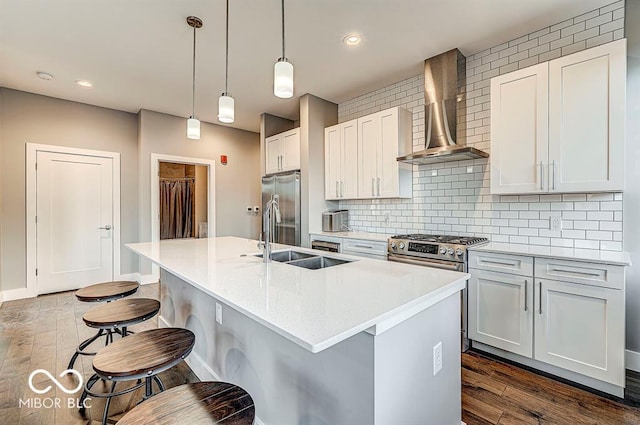 kitchen with a sink, dark wood-type flooring, appliances with stainless steel finishes, and wall chimney exhaust hood