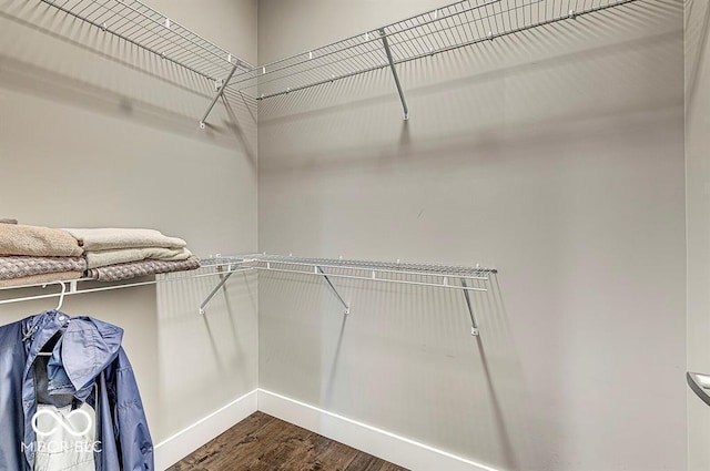 walk in closet featuring dark wood-type flooring