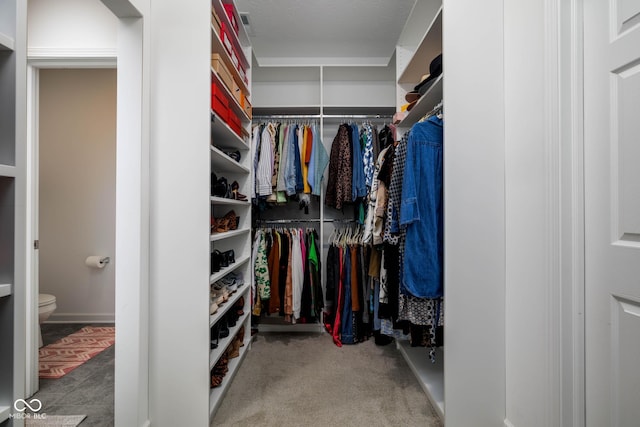 walk in closet featuring carpet flooring