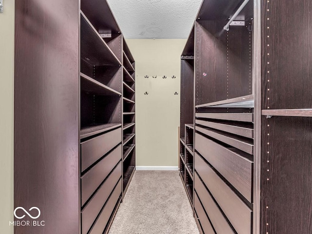 spacious closet with carpet flooring