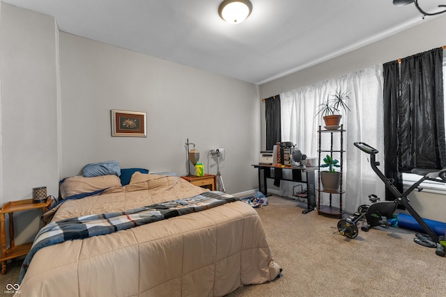 bedroom featuring baseboards and carpet floors