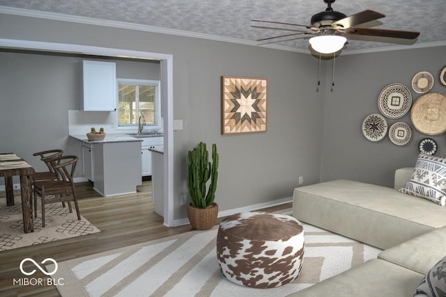 living area featuring light wood-type flooring, crown molding, a textured ceiling, and baseboards