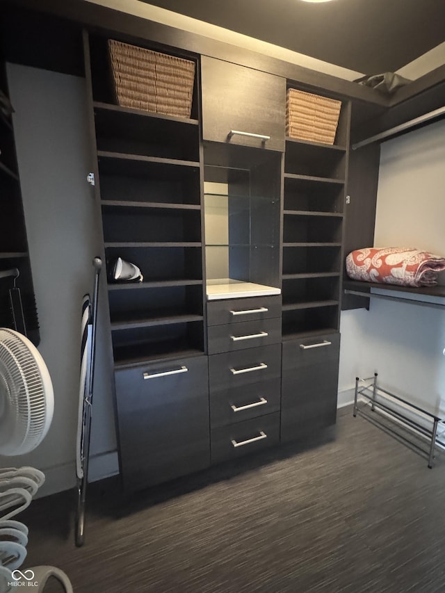 walk in closet featuring dark wood finished floors