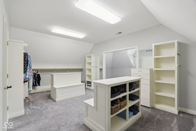 spacious closet with carpet and vaulted ceiling
