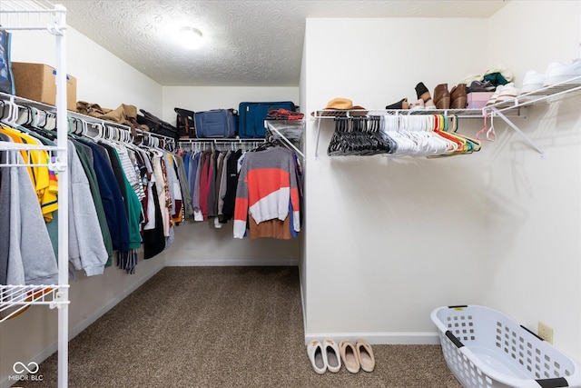 walk in closet featuring carpet floors